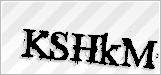 CAPTCHA security code