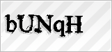 CAPTCHA security code