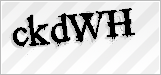 CAPTCHA security code