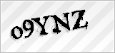 CAPTCHA security code