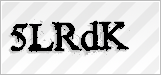 CAPTCHA security code